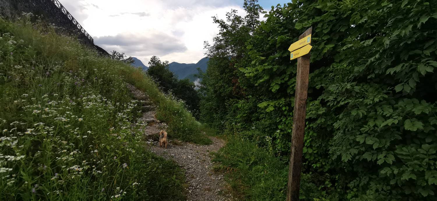 Parkirišče Šterklepce - Kozlov rob slika 25