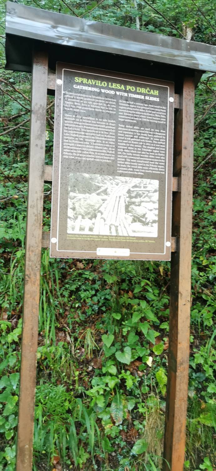 Parkirišče Šterklepce - Kozlov rob slika 17