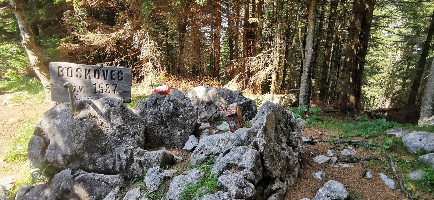Planinska Ravna - Boskovec - main photo