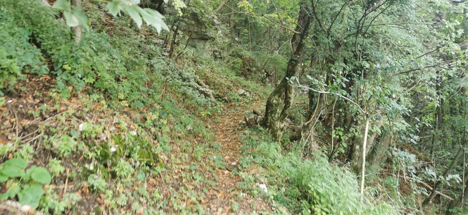 Drenchia (Dreka) - Bivak Zanuso na Kolovratu slika 19