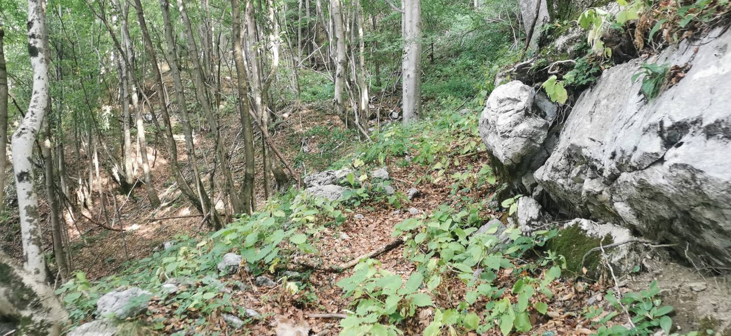 Drenchia (Dreka) - Bivak Zanuso na Kolovratu slika 22