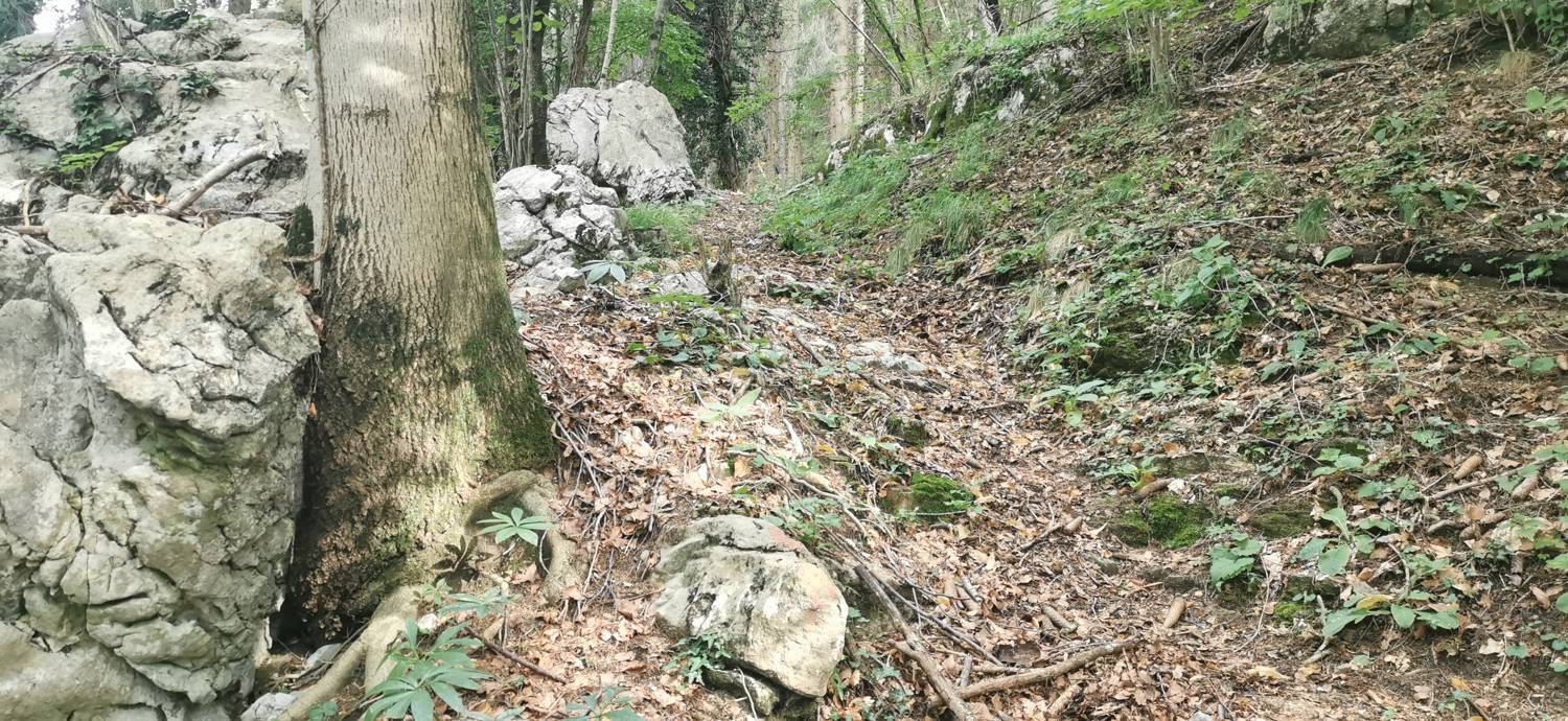 Drenchia (Dreka) - Bivak Zanuso na Kolovratu slika 24