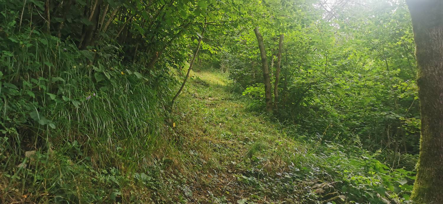 Drenchia (Dreka) - Bivak Zanuso na Kolovratu slika 30