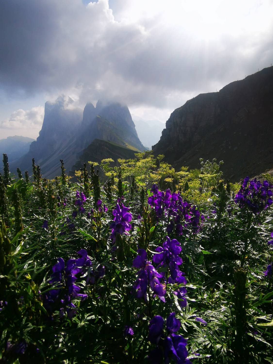 Seceda main photo