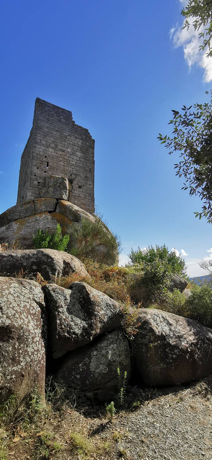 Torre Pisana di San Giovanni main photo