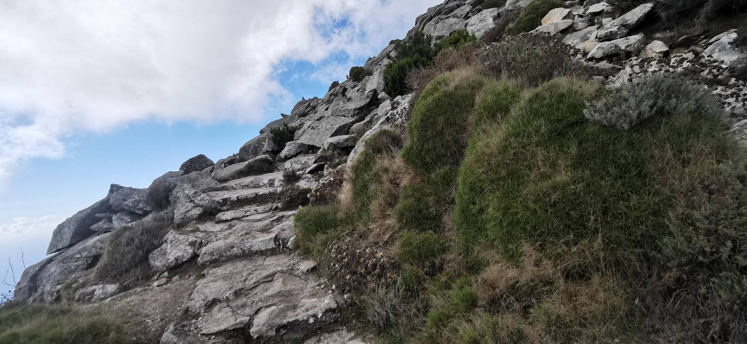 Marciana - Monte Capanne slika 14