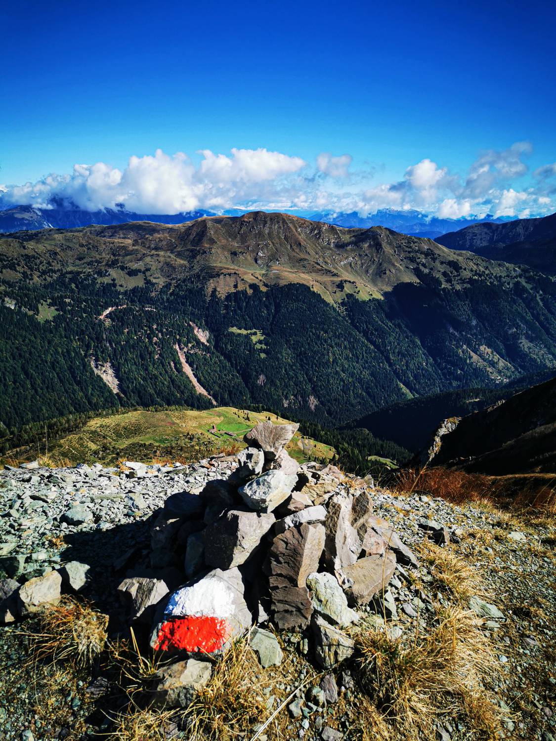 Monte Dimon main photo