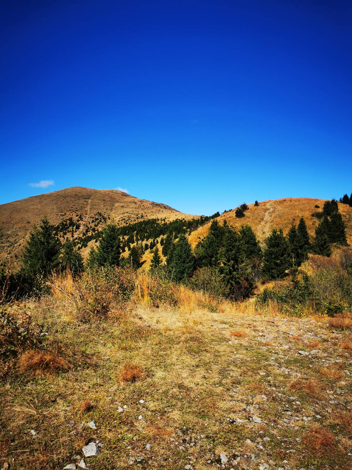Val di Legnan main photo