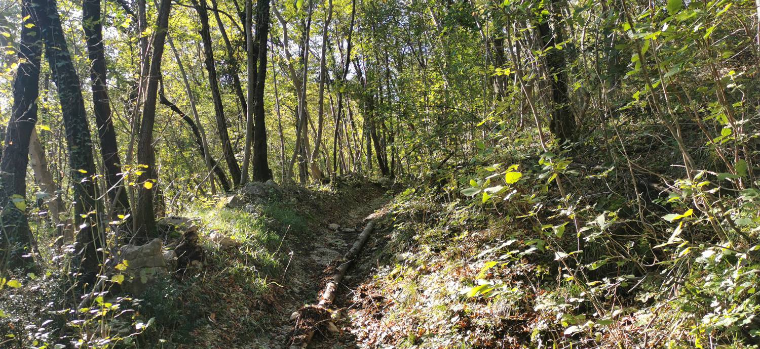 Deskle - Sveti Kvirin na Paljevem slika 18