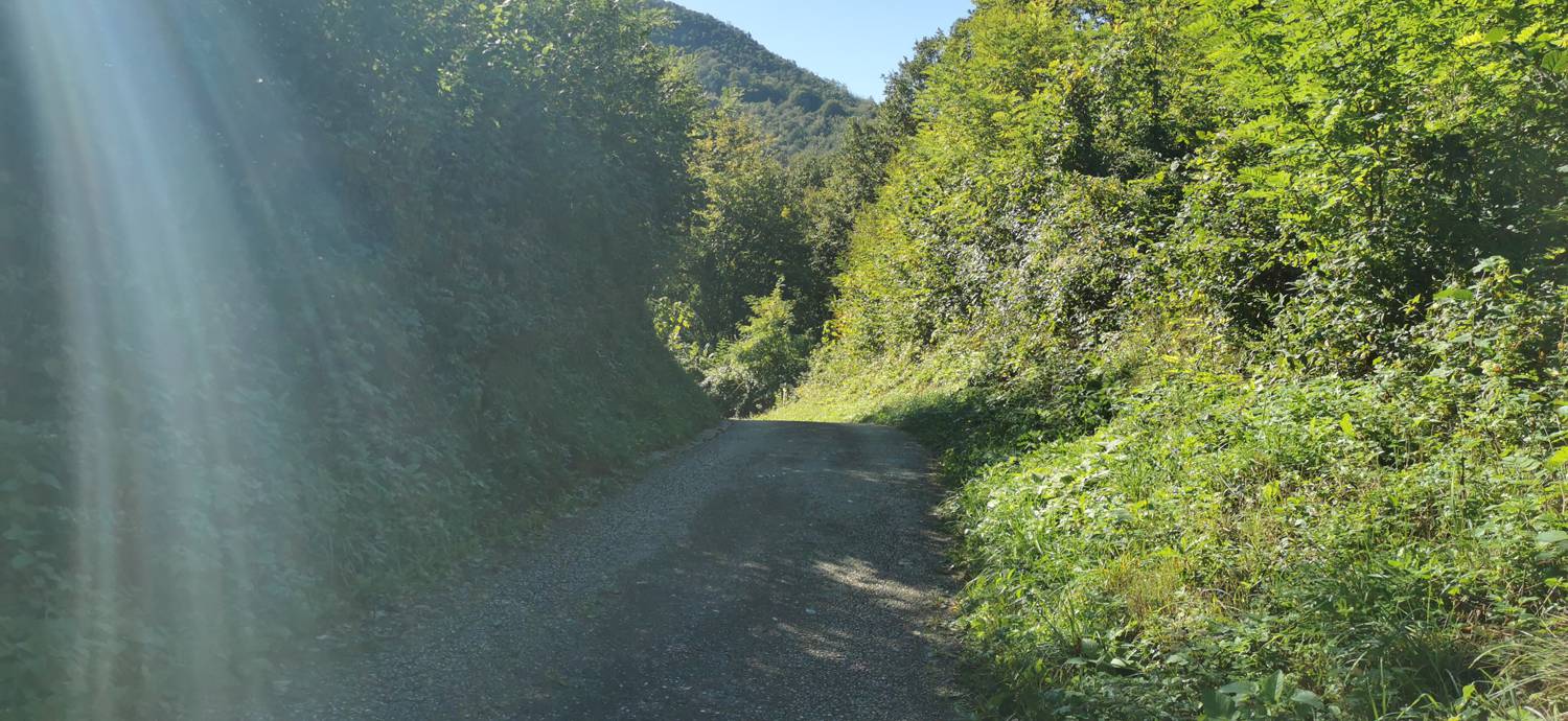 Deskle - Sveti Kvirin na Paljevem slika 31