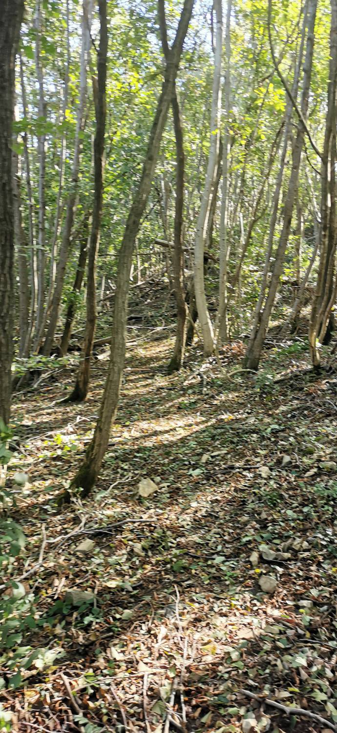 Plave - Sveti Kvirin na Paljevem slika 23