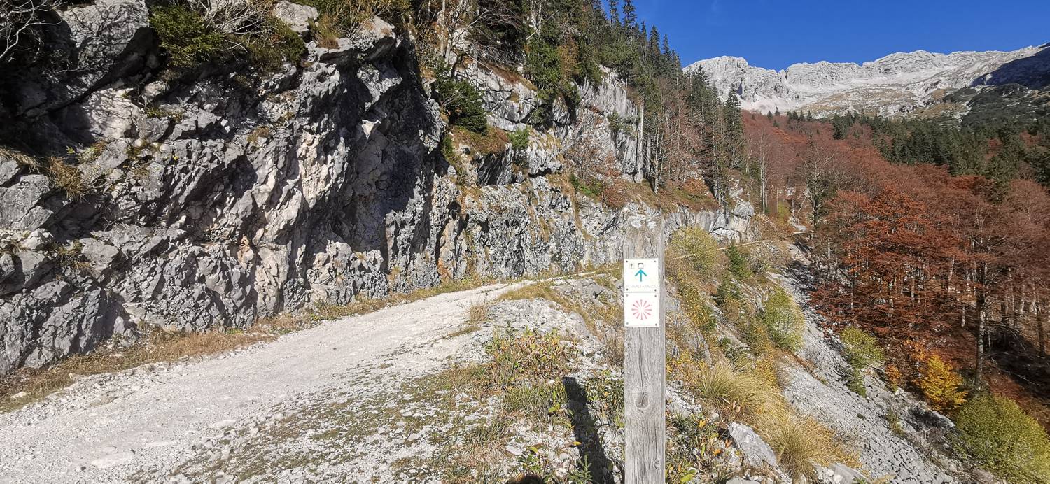 Zip Line Bovec main photo