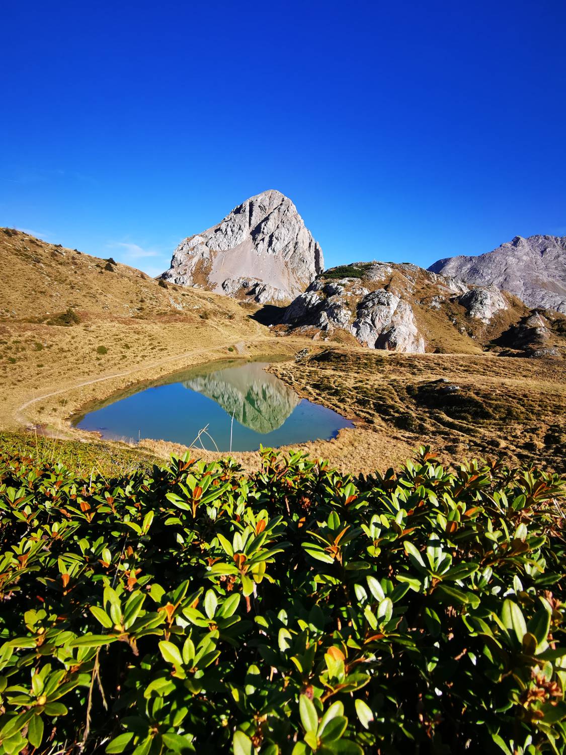 Lago Pera main photo