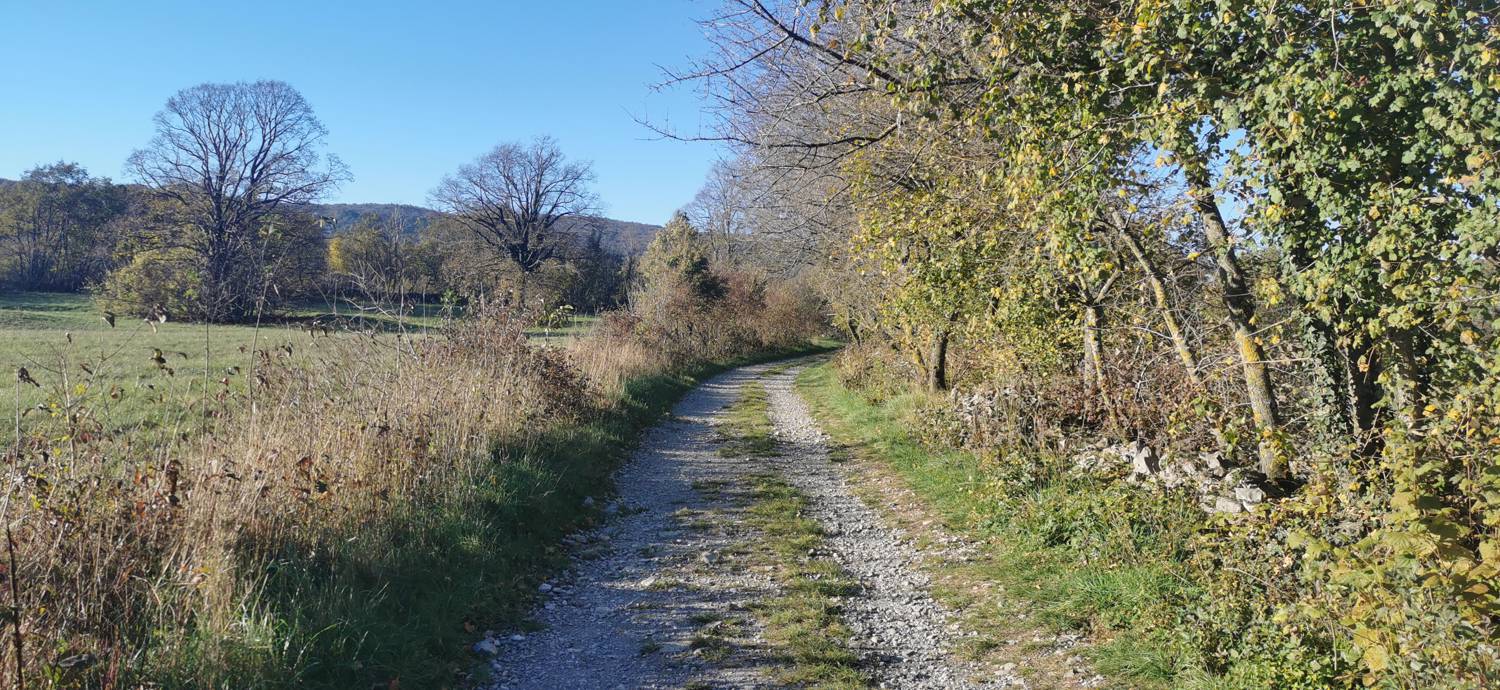 Lokev - Jermanec slika 6