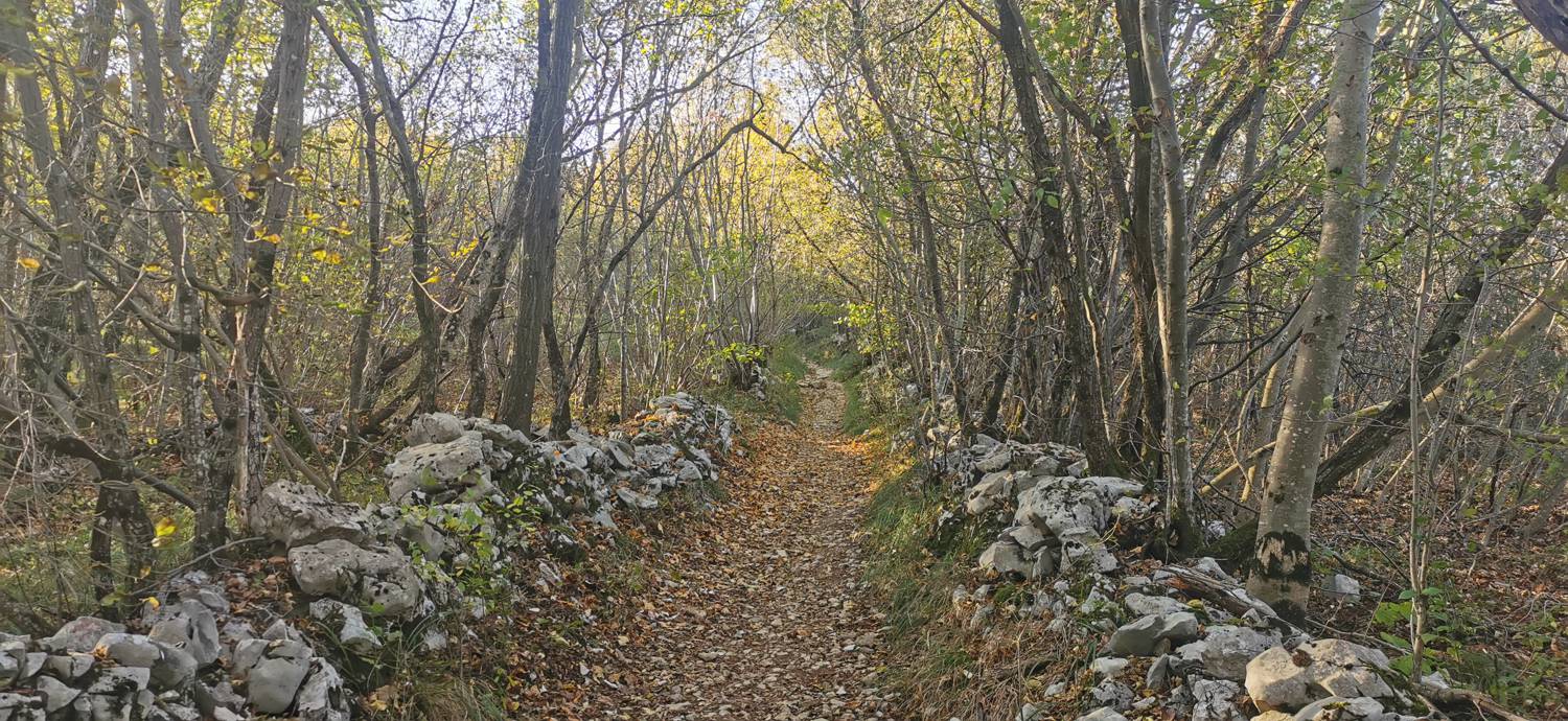 Lokev - Planinski dom na Kokoši slika 13