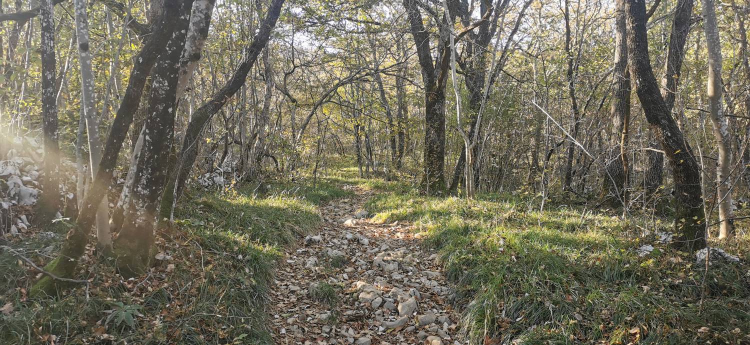Lokev - Planinski dom na Kokoši slika 15