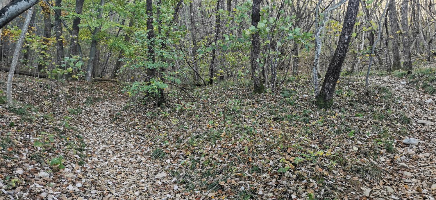 Lokev - Planinski dom na Kokoši slika 18
