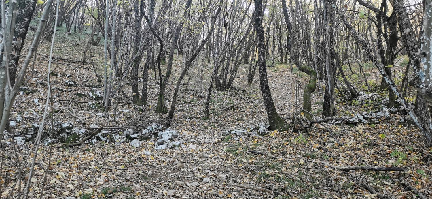 Lokev - Planinski dom na Kokoši slika 20