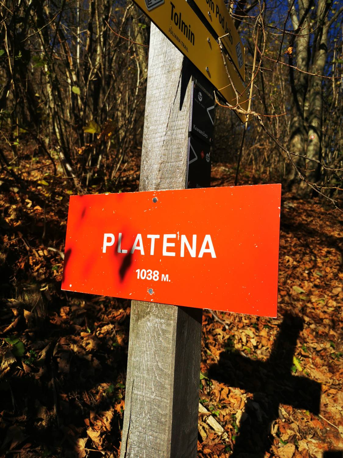 Platena main photo