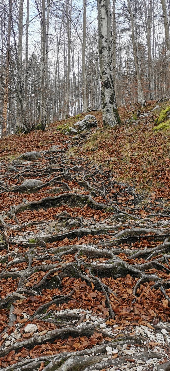 Log pod Mangartom - Slap Parabola slika 23