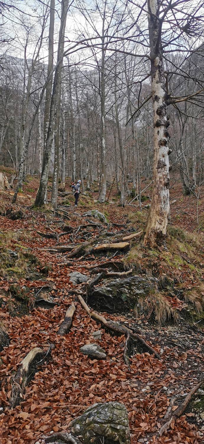 Log pod Mangartom - Slap Parabola slika 24