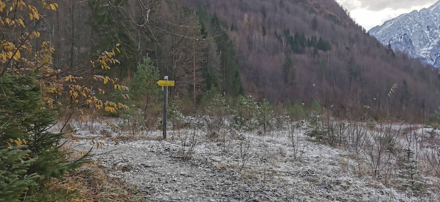 Log pod Mangartom - Slap Katedrala slika 10