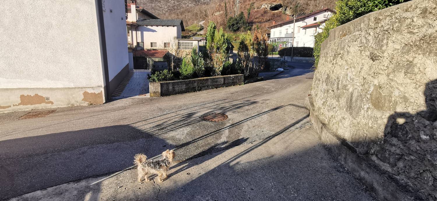 Ložice - Sveti Matej v Kamenci slika 10
