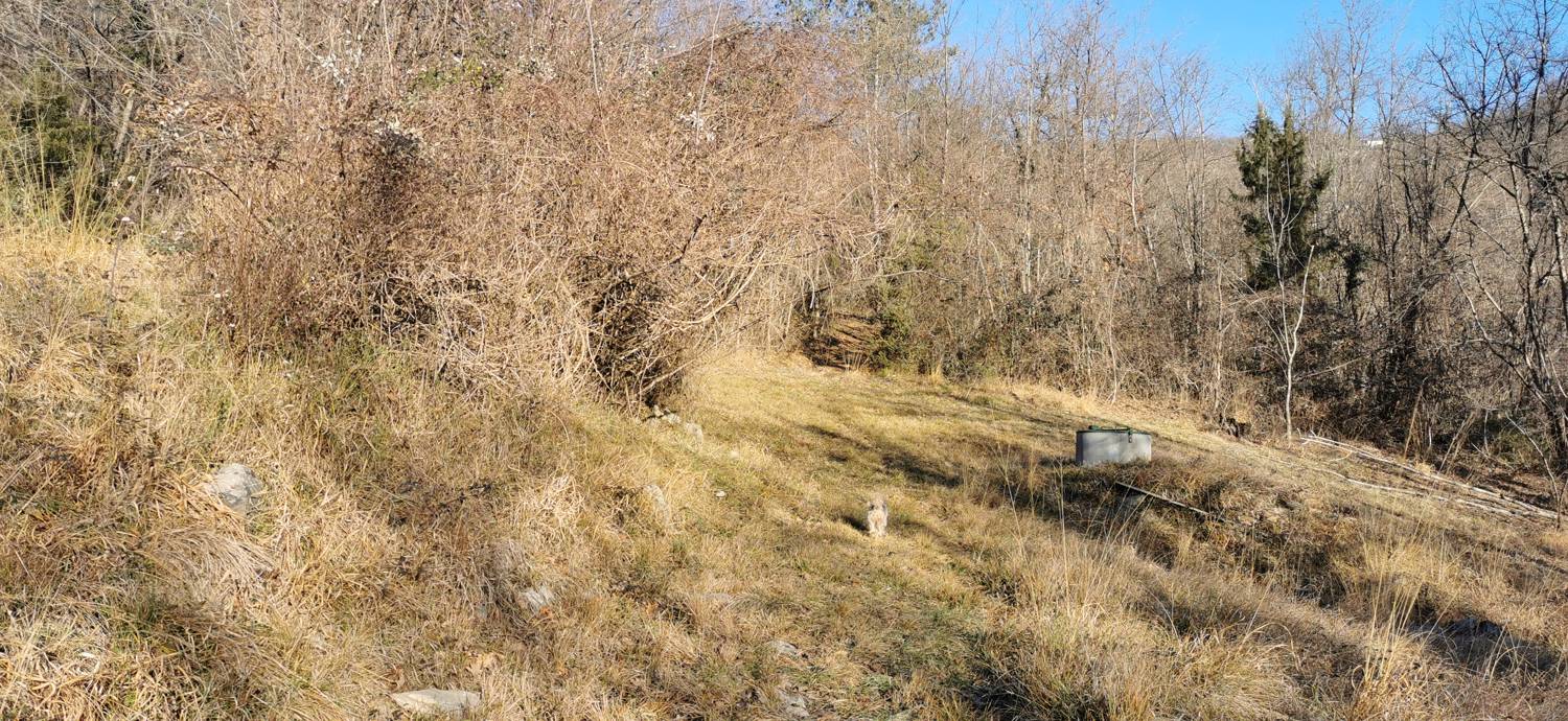 Ložice - Sveti Matej v Kamenci slika 17