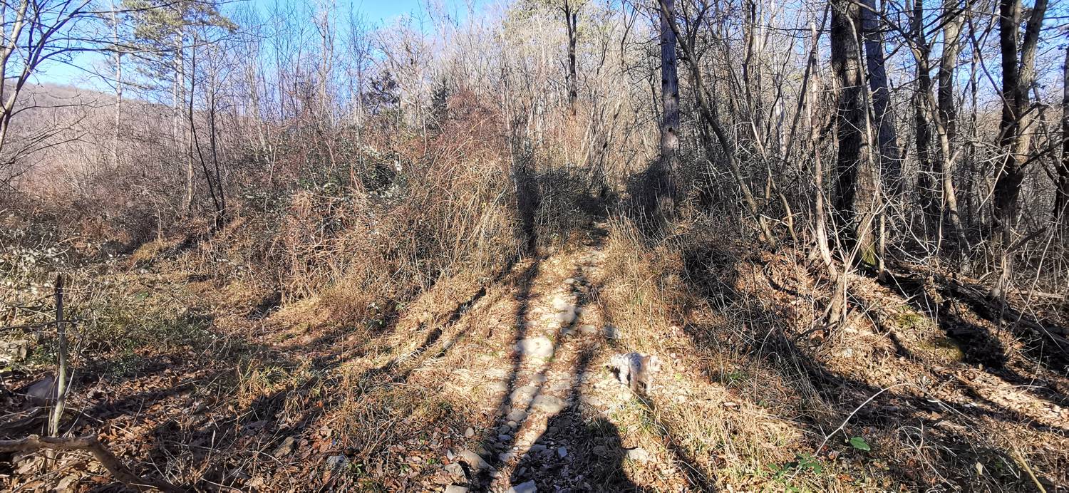 Ložice - Sveti Matej v Kamenci slika 20