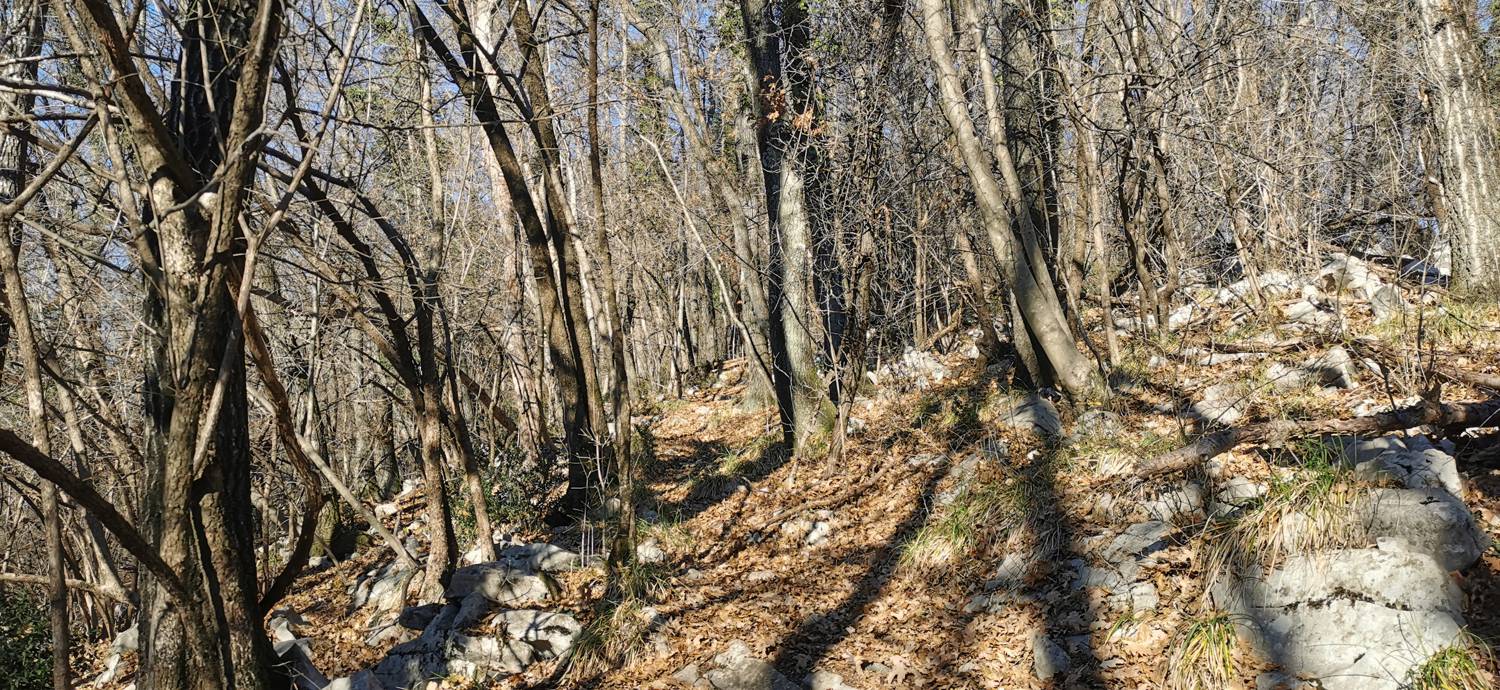 Ložice - Sveti Matej v Kamenci slika 28