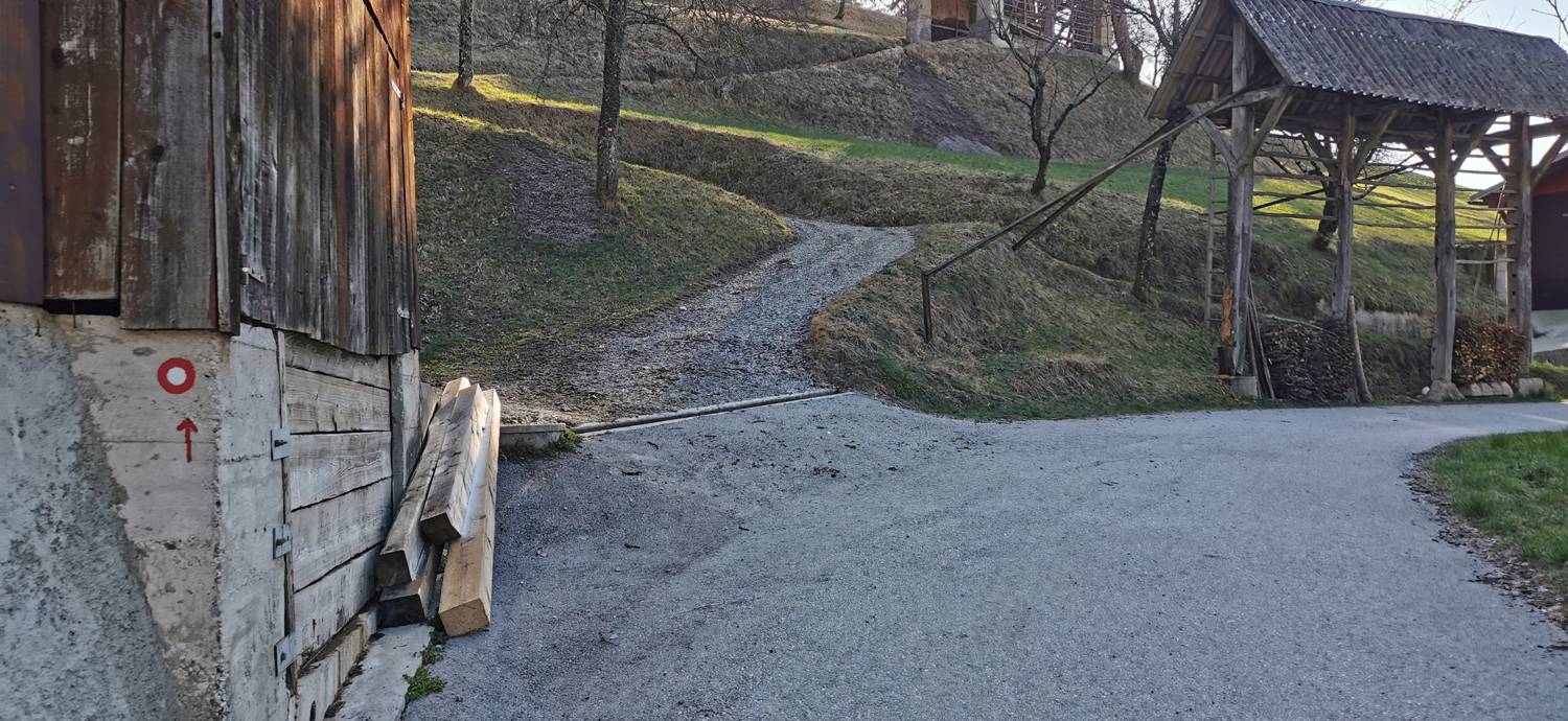 Poče - Porezen slika 9