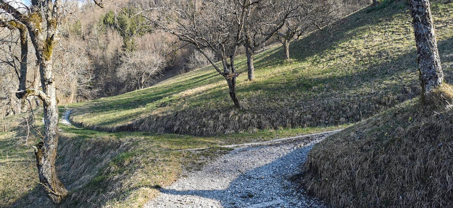 Poče - Porezen slika 10
