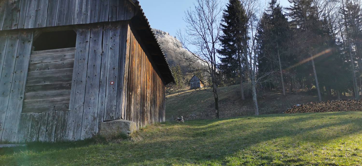 Poče - Porezen slika 12