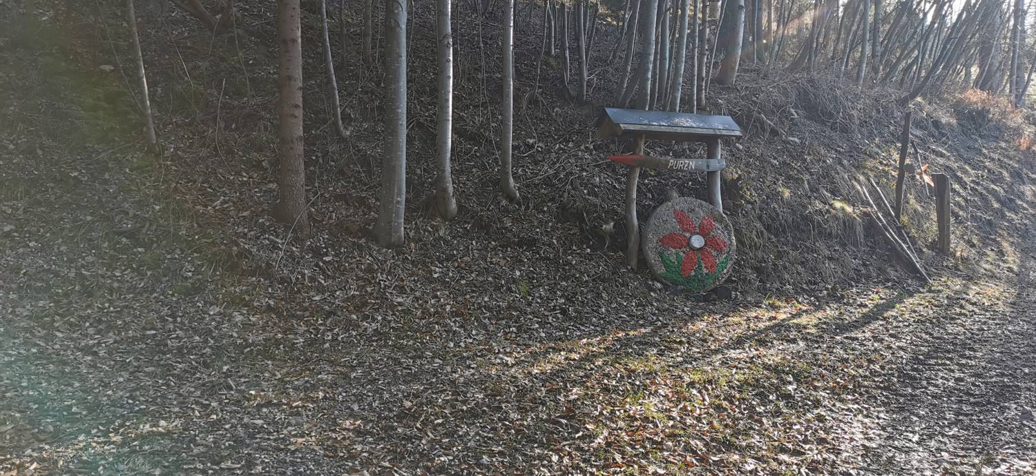 Poče - Porezen slika 17