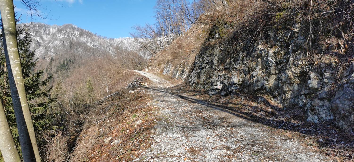 Poče - Porezen slika 20