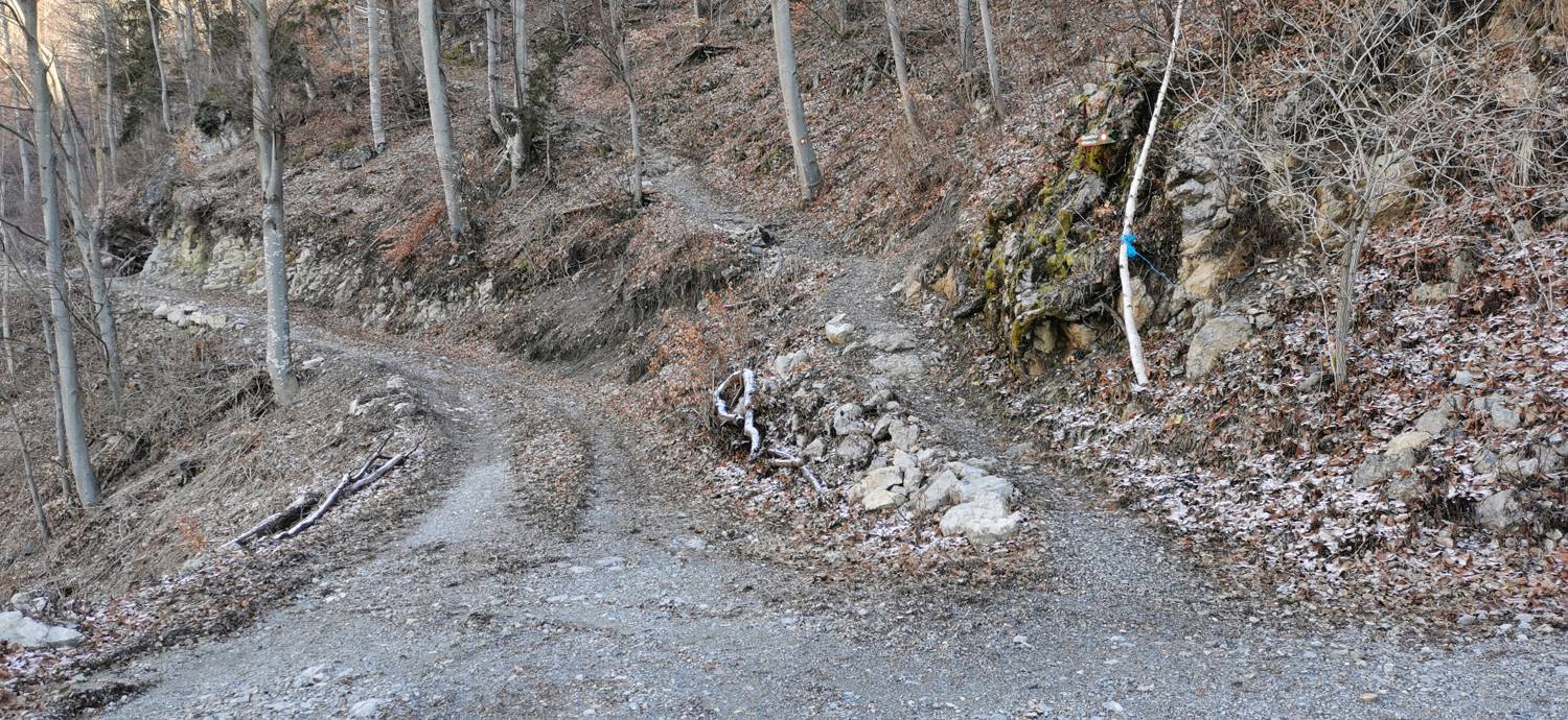 Poče - Porezen slika 22