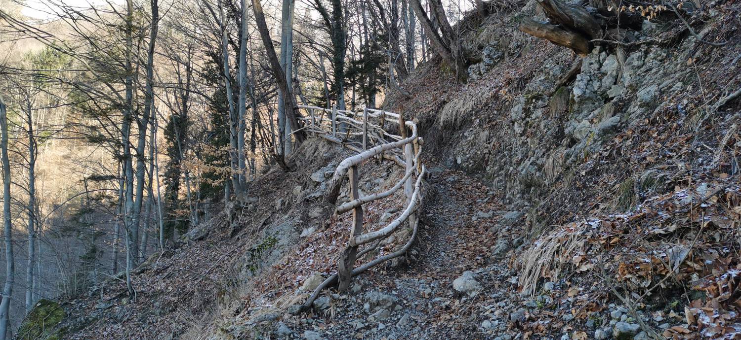 Poče - Porezen slika 23