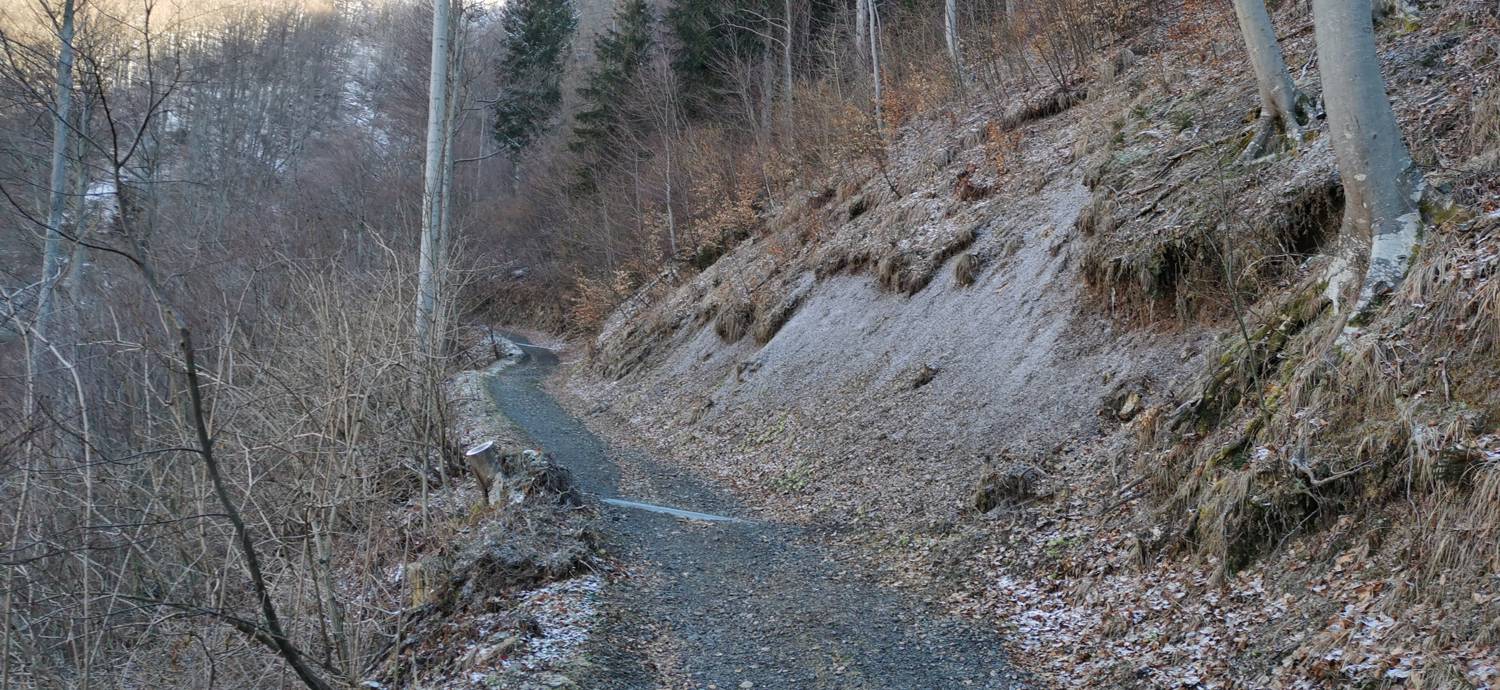 Poče - Porezen slika 24