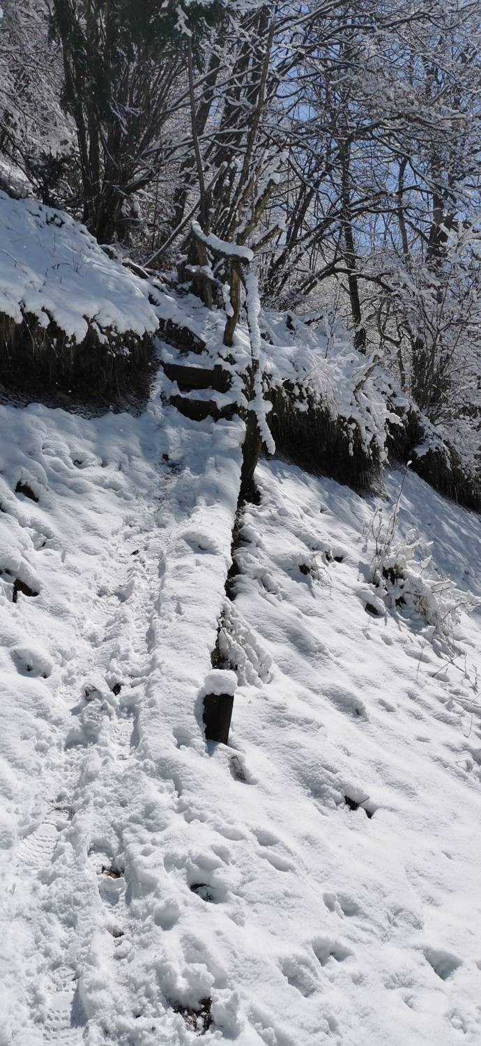 Poče - Porezen slika 36