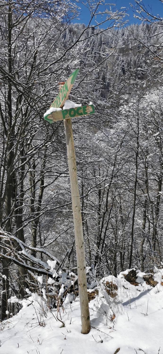 Poče - Porezen slika 35