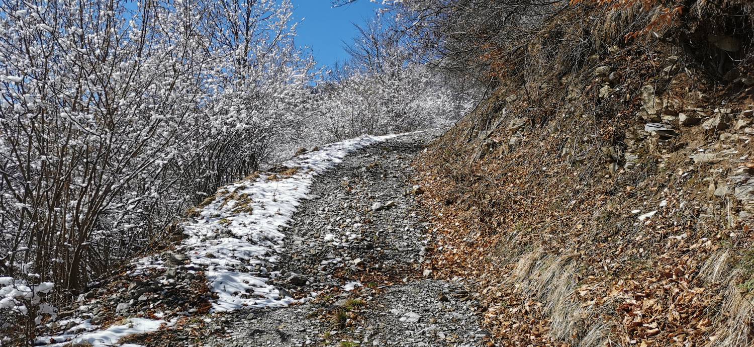 Poče - Porezen slika 33