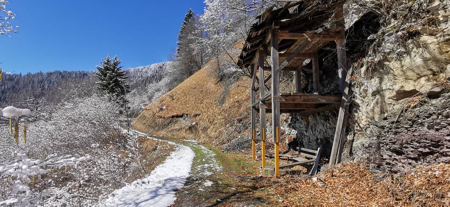Poče - Porezen slika 32