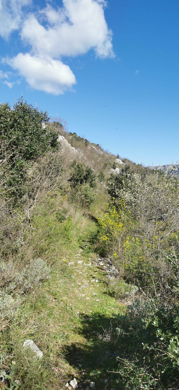 Parkirišče Lidl Novi Vinodolski - Zagori vrh slika 18