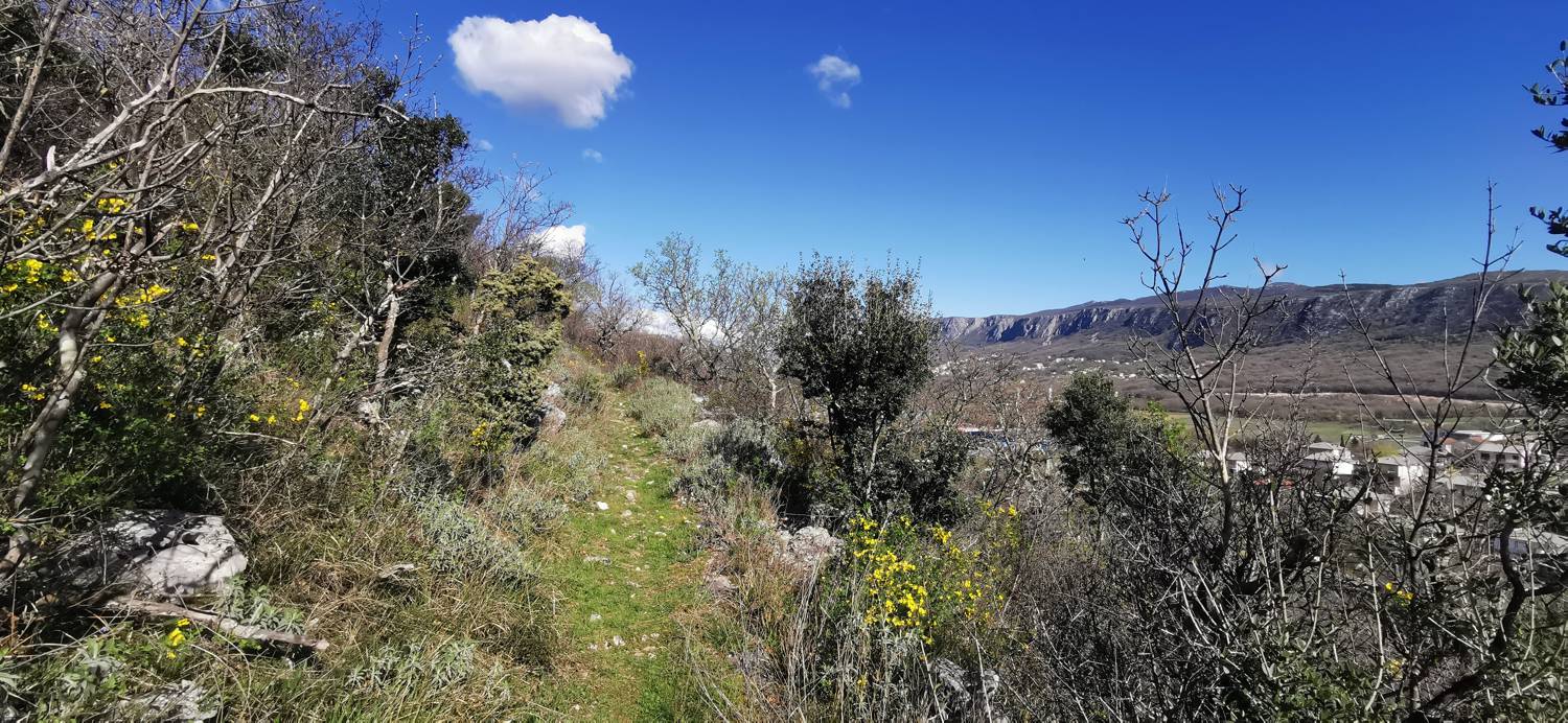 Parkirišče Lidl Novi Vinodolski - Zagori vrh slika 20