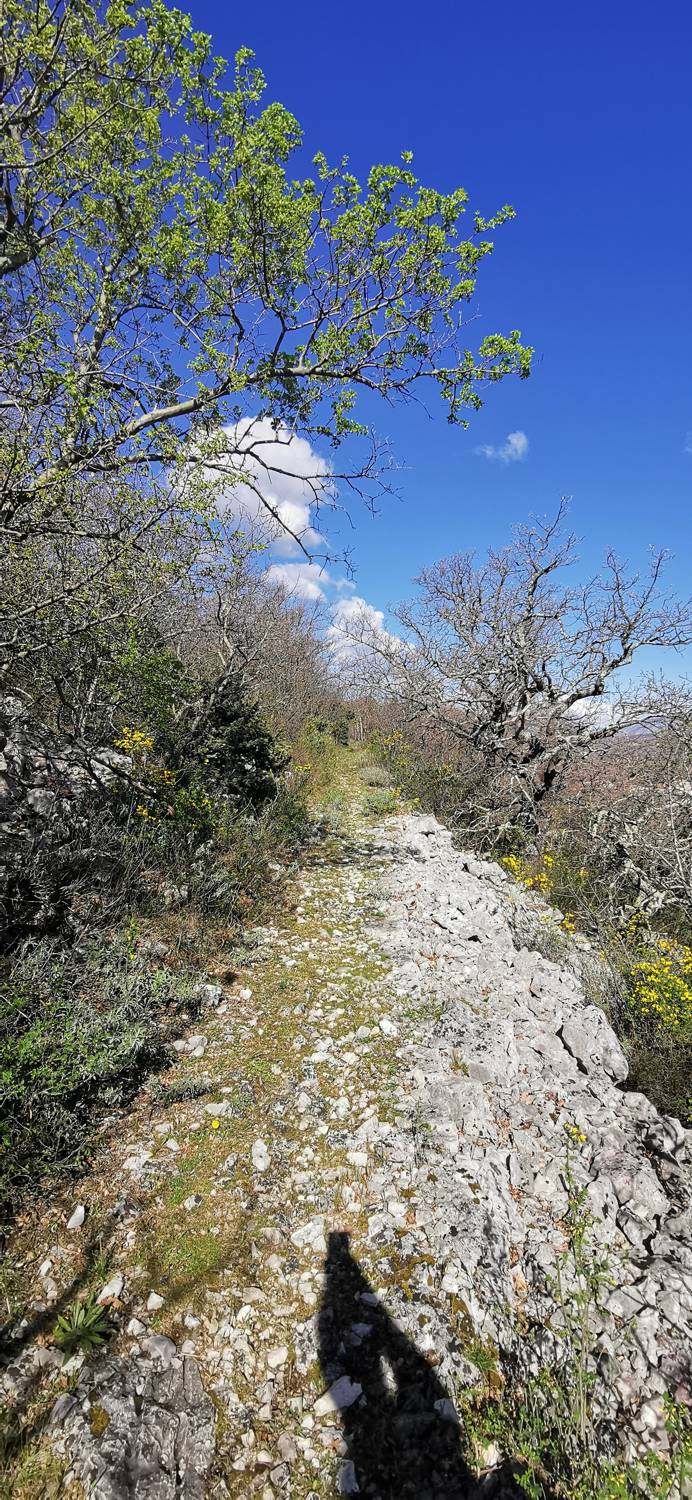 Parkirišče Lidl Novi Vinodolski - Zagori vrh slika 21