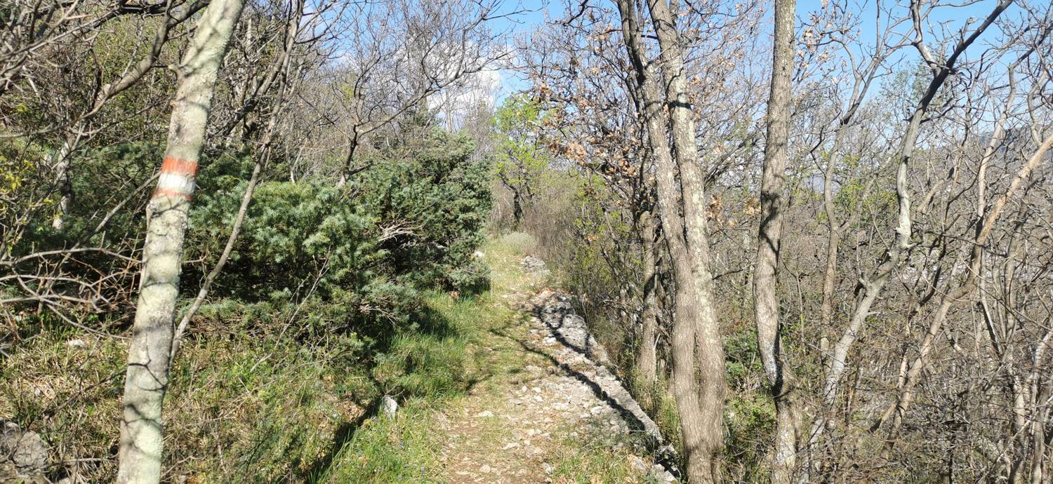 Parkirišče Lidl Novi Vinodolski - Zagori vrh slika 22