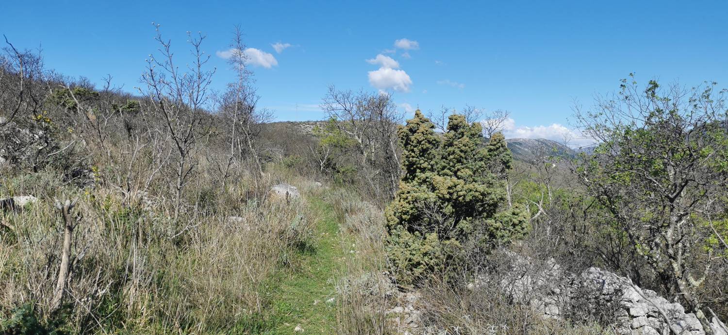 Parkirišče Lidl Novi Vinodolski - Zagori vrh slika 24