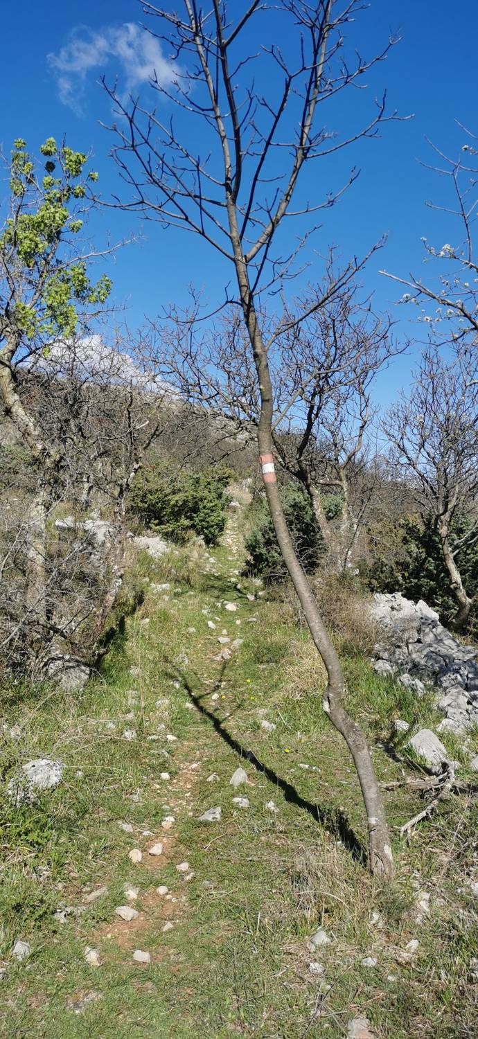 Parkirišče Lidl Novi Vinodolski - Zagori vrh slika 28