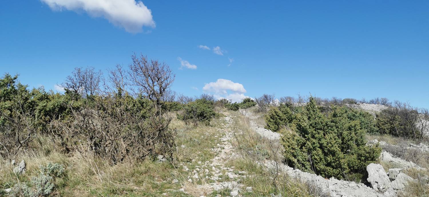 Parkirišče Lidl Novi Vinodolski - Zagori vrh slika 33