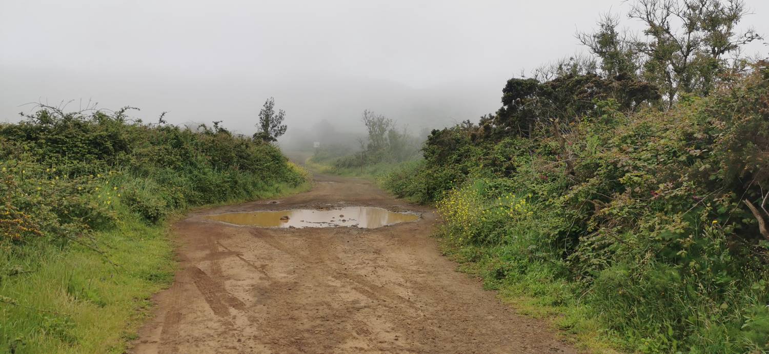 Parque Rural de Teno - Risco Verde slika 7